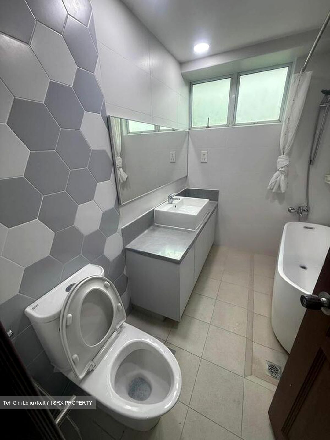 Holland Hill Park (D10), Condominium #479822101